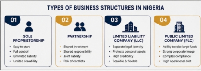 An Image showing types of business structures in Nigeria .