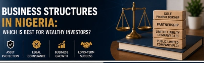 An image showing Business Structures in Nigeria: Which Is in Best for Wealthy Investors?